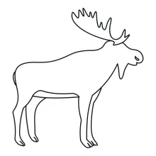 Moose One-Line Drawing: Learn to Simplify Large Animal Shapes with Minimal Art