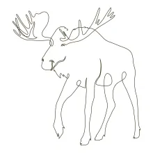 Wild Moose One-Line Drawing: Practice Strong Animal Shapes with Easy Drawing Technique