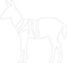 One-Line Okapi Drawing: Practice Rare Animal Forms with Easy Art