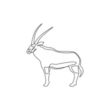 One Line Oryx Drawing: Practice Bold Horn Shapes with a Simple Line