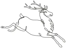 One Line Jumping Red Deer Drawing: Explore Motion and Wildlife Anatomy