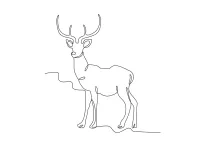 One-Line Side-View Stag Drawing: Practice Antlers and Proportion with Simple Steps