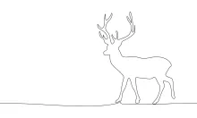 One-Line Reindeer Drawing: Fun and Easy Arctic Animal Art for Beginners