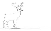 Reindeer One-Line Drawing: Learn to Sketch Arctic Animals Easily