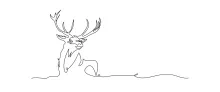 "One-Line Reindeer Drawing: A Minimalist Approach to Iconic Wildlife Figures"