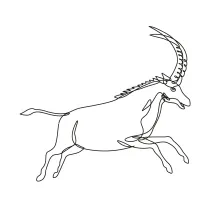 One Line Jumping Antelope Drawing: Practice Motion and Animal Shapes
