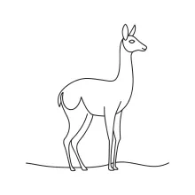 "Minimalist Vicuna Drawing: A One-Line Study of Small and Agile Wildlife Forms"
