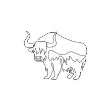 One Line Long-Haired Yak Drawing: Explore Wild Texture with Simple Lines