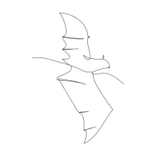 Draw a Flying Bat with One Line: Great for Kids and First-Time Artists