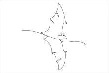 Simple One Line Bat Drawing: Learn Night Animal Shapes the Easy Way