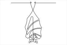 Halloween Bat One Line Drawing: Fun and Spooky Art for Kids