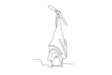 "Minimalist Sleeping Bat Drawing: Capturing a Resting Nocturnal Creature with One Line Art"