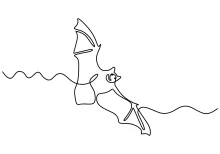 "One Line Flying Bat Illustration: Capturing Motion and Mystery with Minimalist Art"