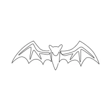 Wild Bat Drawing: Explore Nocturnal Creatures with One Simple Line