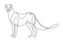 One Line Leopard Drawing: Simple Art of a Powerful Jungle Predator