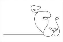 "One Line Lion Head Illustration: Depicting a Majestic Predator with Minimalist Techniques"