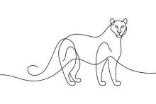 Simple Panther One Line Drawing: Practice Big Cat Forms Step-by-Step