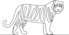 One Line Tiger Drawing: Fun Way to Learn Powerful Animal Shapes