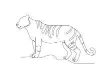 Draw a Tiger in One Line: Practice Big Cat Art in a Simple and Fun Way