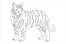 Tiger One Line Drawing: Create Jungle Animal Art with Simple Steps