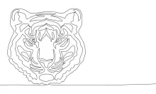 Tiger Head Drawing with One Line: Learn to Draw Strong Faces with Simple Shapes