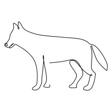 Dangerous Wolf in One Line: Wild Predator Drawing