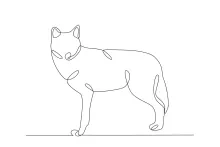 One Line Drawing of Female Wolf: Learn Animal Behavior and Simple Shape Art