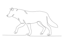 One Line Wolf Stalking Prey: Explore Quiet Hunting Scenes with Easy Drawing