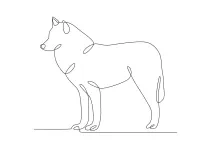 One Line Male Wolf Standing Still: Practice Shape and Strength with Simple Drawing