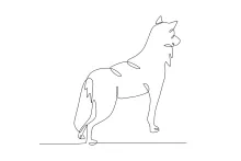 "Continuous Line Male Wolf Tracking Prey: A Simple Drawing Exercise for Wildlife Behavior"