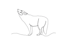 Draw a Wolf in One Line: Simple Art That Brings the Wild to Life