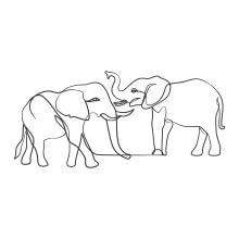 "One-Line Elephant Drawing: A Simplified Approach to Capturing Wildlife Features"