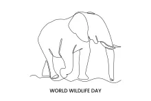 "One-Line Elephant Sketch: A Minimalist Approach to Wildlife Form and Structure"