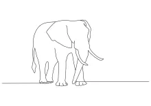 One-Line Drawing of an Elephant: Simple Practice with a Big Animal Figure
