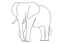 Learn One-Line Elephant Drawing: Easy Way to Practice Animal Body Shapes