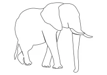 Elephant in One Line: Build Drawing Confidence with Simple Large Animal Forms