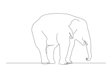 Simple One-Line Drawing of an Elephant: Fun for Beginners of All Ages