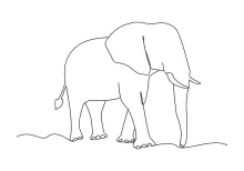 Elephant in One-Line Art: Explore Big Animal Shapes with Ease