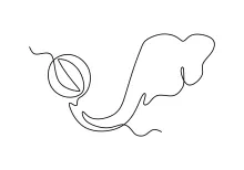 Simple Elephant One-Line Drawing: Learn Animal Shapes Without Complexity