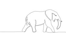 One-Line Drawing of an Elephant: Easy Practice for Big Animal Shapes