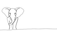 Simple One-Line Elephant Drawing: Fun Way to Explore Big Animal Forms