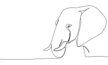 Elephant Head One-Line Drawing: Practice Facial Features with Minimal Lines
