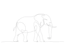 Elephant Wildlife One-Line Art: Learn Animal Drawing Through Simplicity