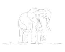 Wildlife Elephant in One Line: Easy Drawing Style for All Ages