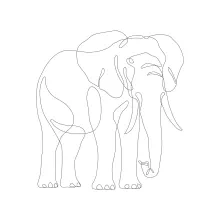 Draw a Wildlife Elephant with One Line: Start Art with Simple Shapes