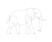 Easy One-Line Wildlife Elephant Drawing: Build Confidence with Simple Animal Forms