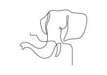 "Minimalist Big Elephant Head Sketch: A One-Line Approach to Wildlife Strength and Presence"