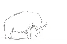 Big Mammoth One-Line Drawing: Learn to Outline Prehistoric Giants Easily