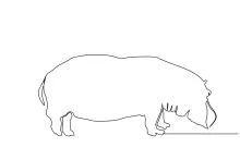 Hippopotamus in One Line: Simple Drawing Practice for Young Artists