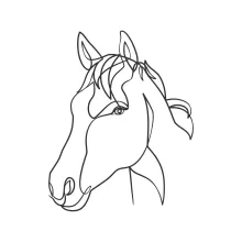 "Minimalist Horse Head Drawing: Illustrating Strength and Precision in One Artistic Stroke"
